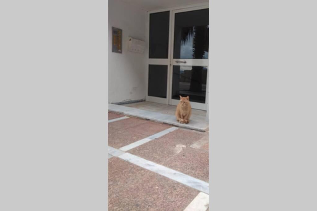Captain'S Home Loutraki ภายนอก รูปภาพ